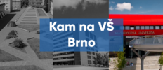 Brno_web.png